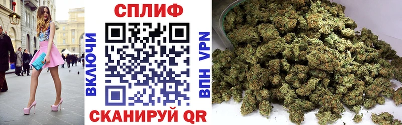 Наркотические вещества Сясьстрой АМФЕТАМИН  Меф  Каннабис  Cocaine  Alpha-PVP 