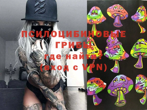 каннабис Аркадак